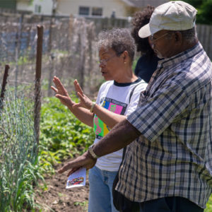 Community garden in Riverside neighborhood